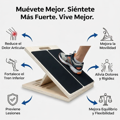 Shinka Board