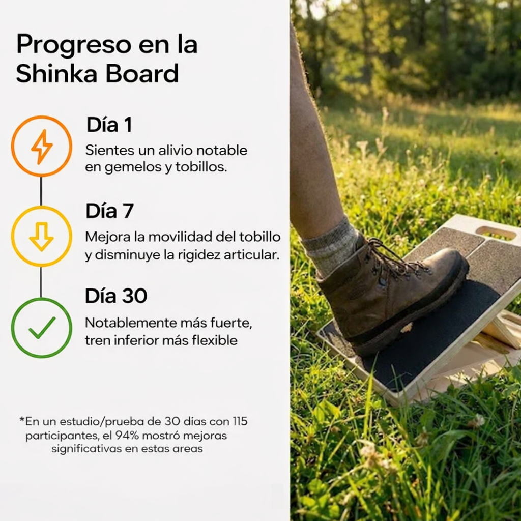 Shinka Board