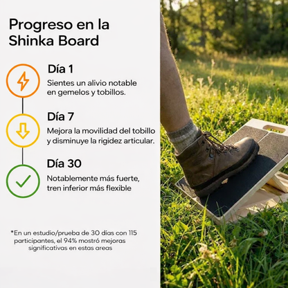 Shinka Board