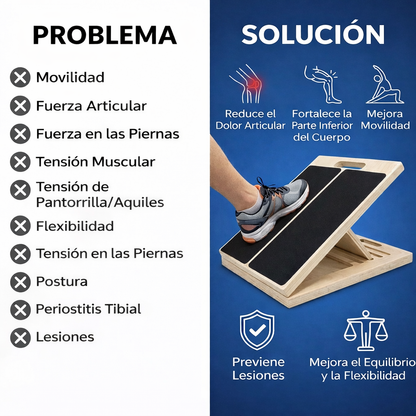 Shinka Board